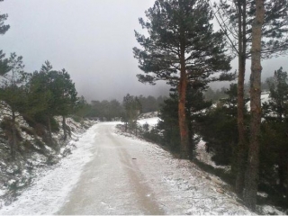  Snowy road 